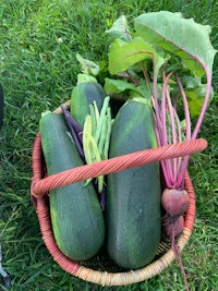 a wicker basket filled with zucchini, beets and radishes